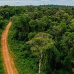 Ambiente-en-Misiones
