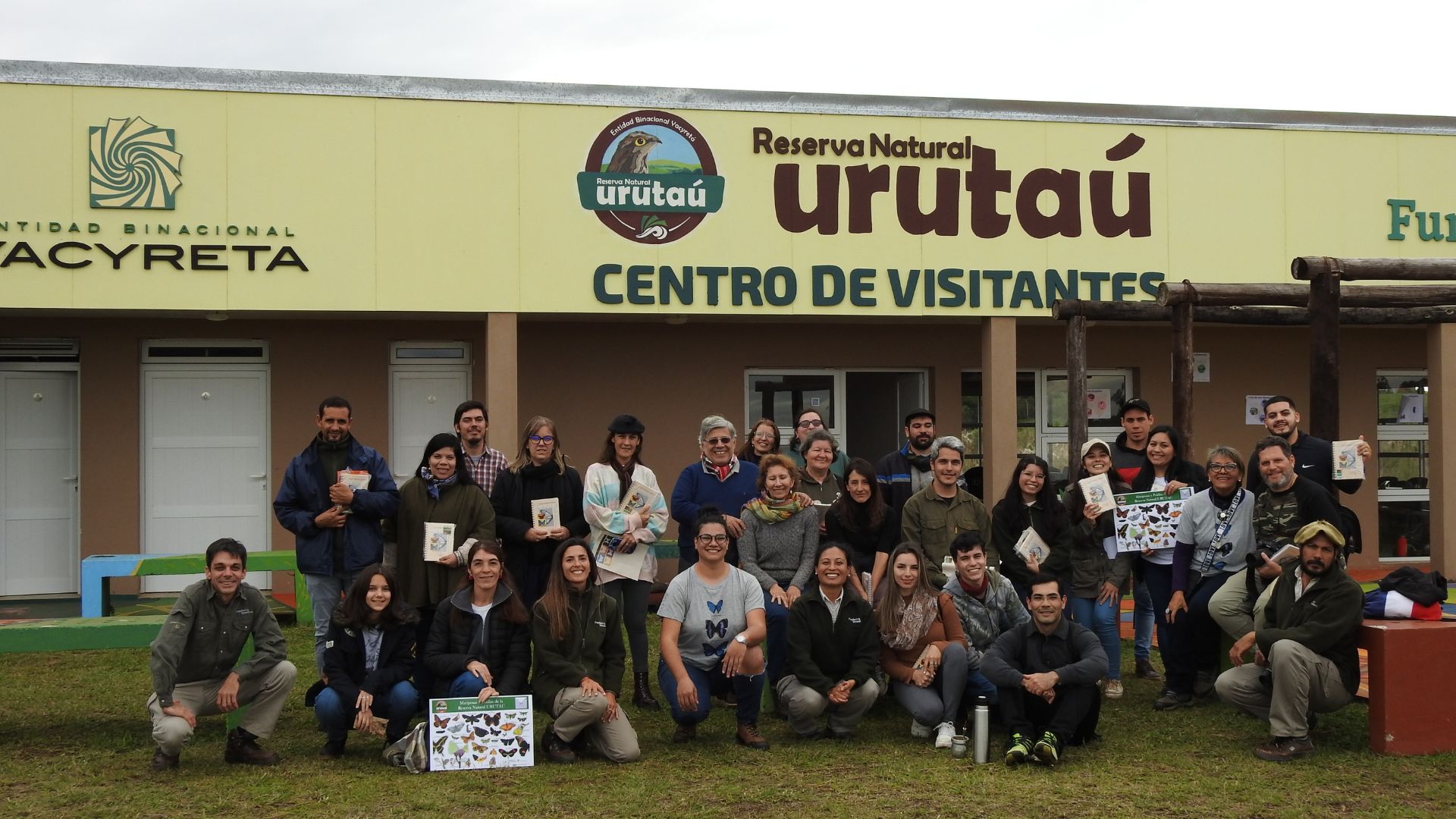 especies de insectos en Misiones