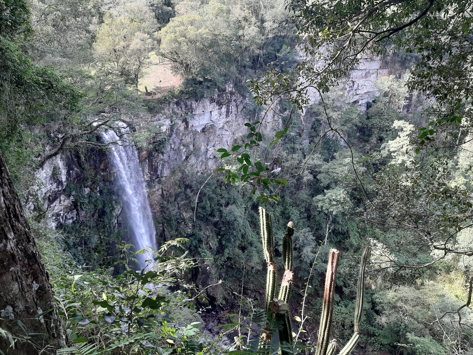 Vacaciones de Invierno en Salto Encantado