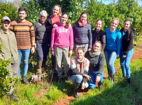 técnicas de poda y cuidado de plantas