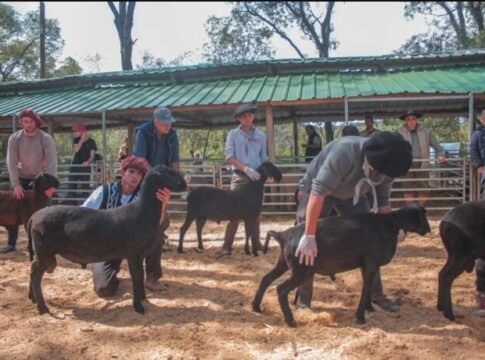 Expo Rural de Fachinal