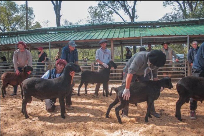 Expo Rural de Fachinal