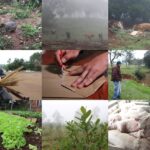 Diversificacion-productiva