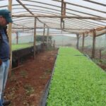 Knasel-Sandro-propietario-de-la-chacra-modelo-el-Soberbio-36-1