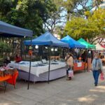 Paseo-Comercial-Posadas-Siempre-Linda-2
