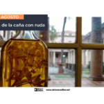 Sin-titulo-1200-C397-628-px-8