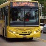 colectivo-urbano