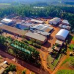 Captura-de-pantalla-2022-09-12-205707