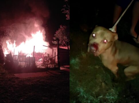 Rescataron a un perro en un incendio en Posadas