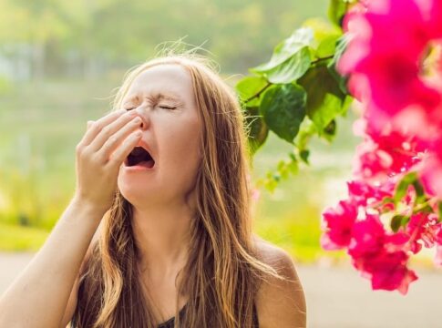 primavera alergias