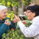 derecho-de-las-persnas-mayores