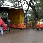 mercado-central-de-misiones-puesto-piquete