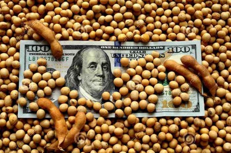 dólar soja