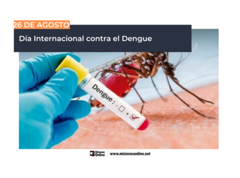 Día Internacional contra el Dengue