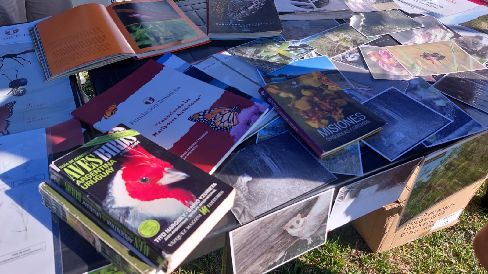 Festival de Aves y Conservación del sur de Misiones