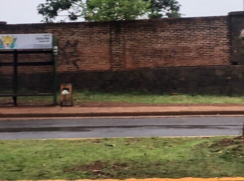 atropellaron a un niño