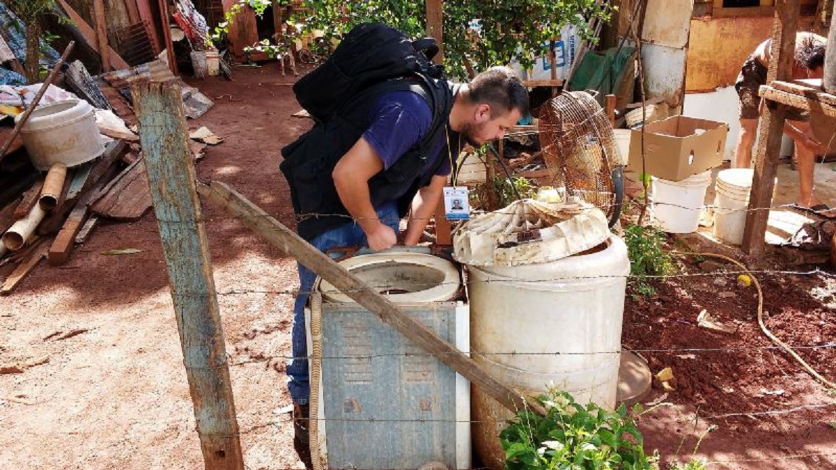 Lucha contra el dengue