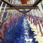 fiesta-del-cordero-1