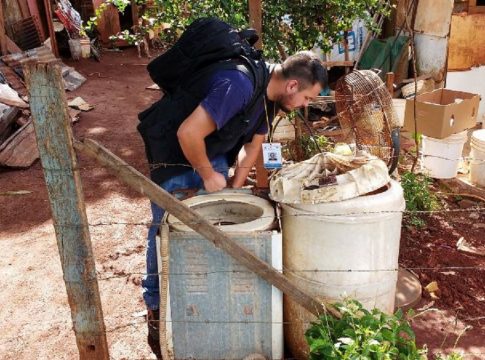 Lucha contra el dengue