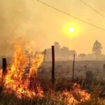incendios-en-Misiones-1