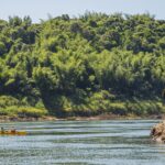 1-Kayak-Rio-Parana-Misiones-Selva-Misionera-Argentina