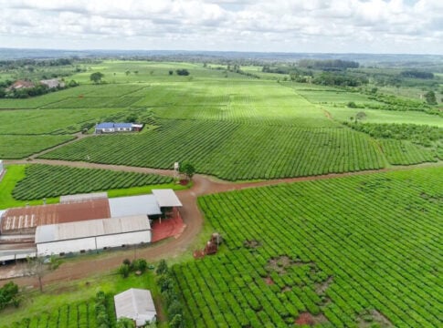 agroindustria misionera