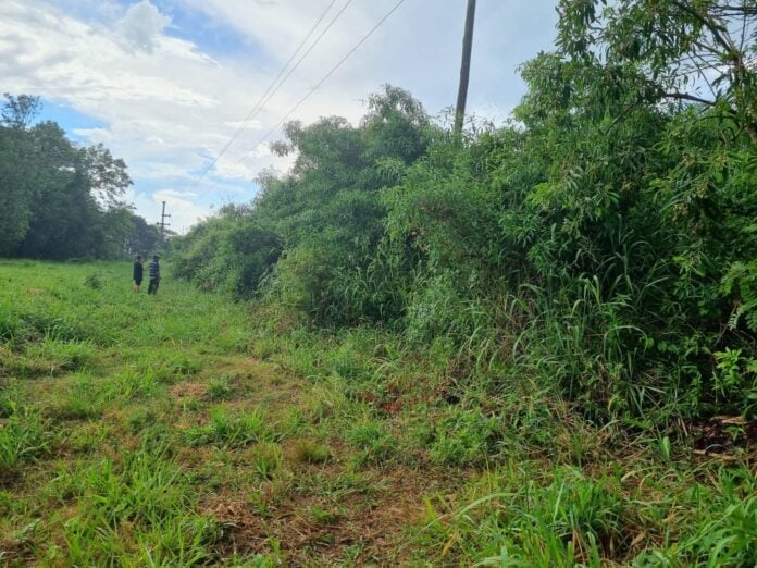 jubilada asesinada en Oberá