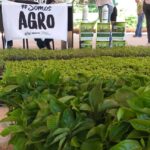 agro-misiones