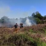 incendio-en-iguazu-1