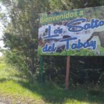 saltos
