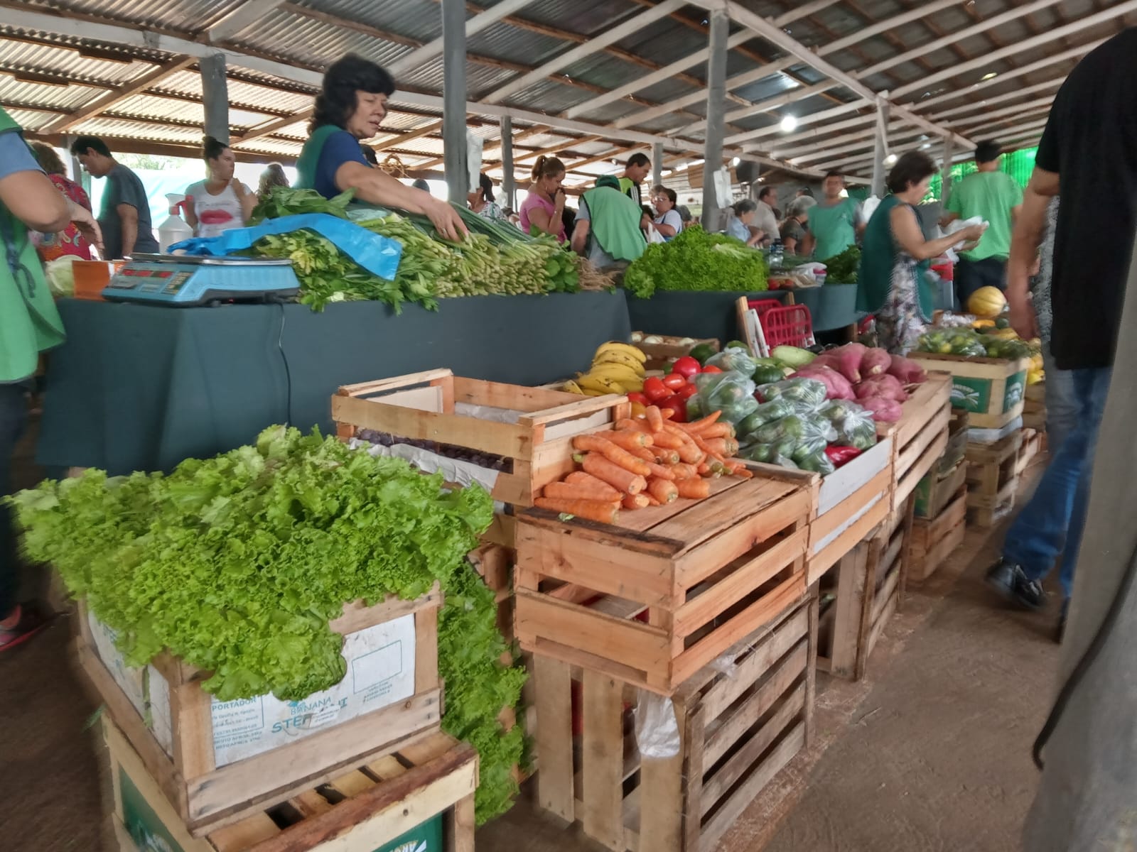 feria franca