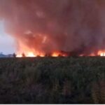 Incendio-PN-Ciervo-de-los-Pantanos