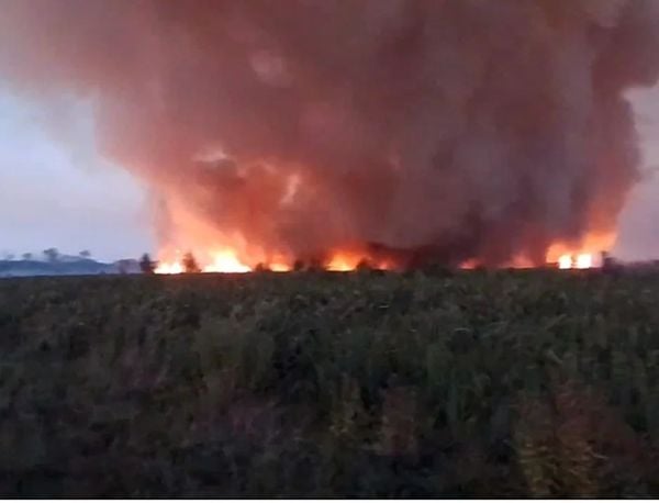 incendios forestales