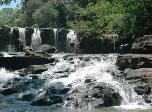 Capioví - #VeranoenMisiones