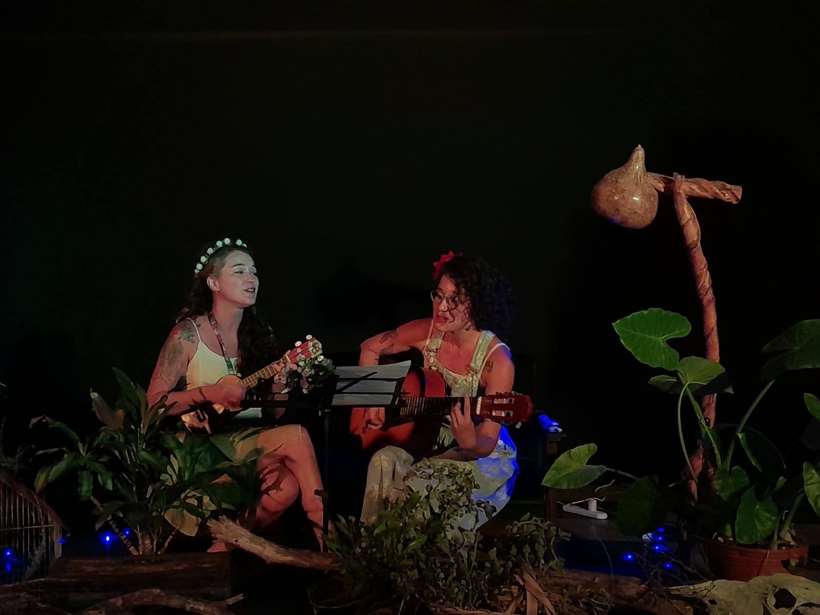 ciclo de música