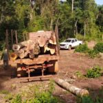 apeo-ilegal-3-e1676127666110