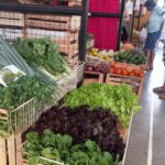 escasez-de-verduras