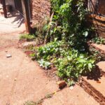 w-barrio-san-lorenzo-4