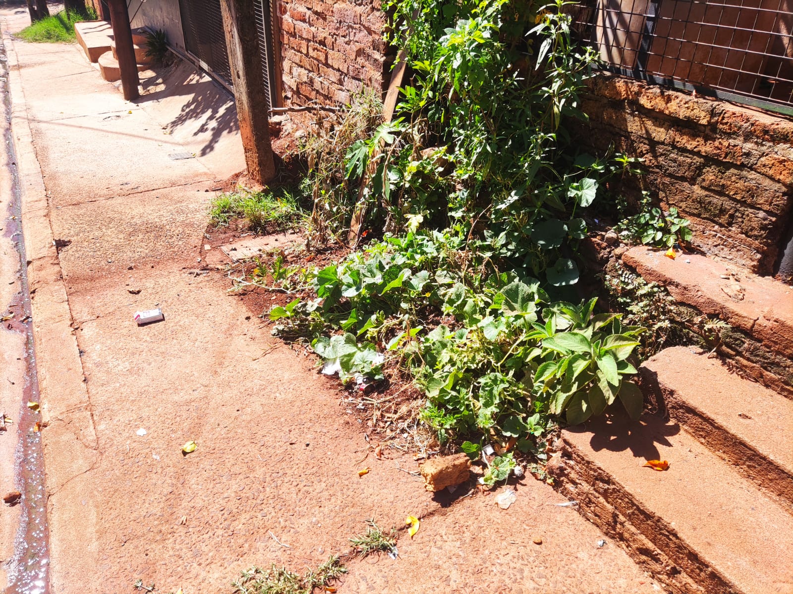 joven del barrio San Lorenzo