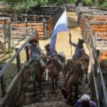 Fiesta-Provincial-del-Ternero-21