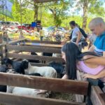 Fiesta-Provincial-del-Ternero-9