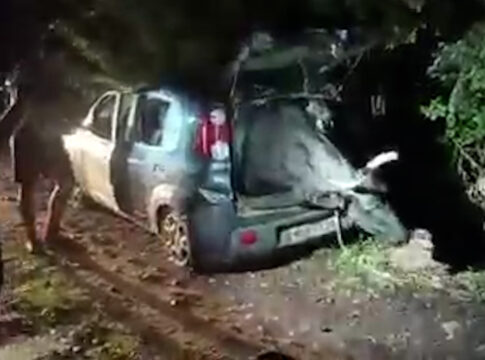 Robó un toro en Brasil