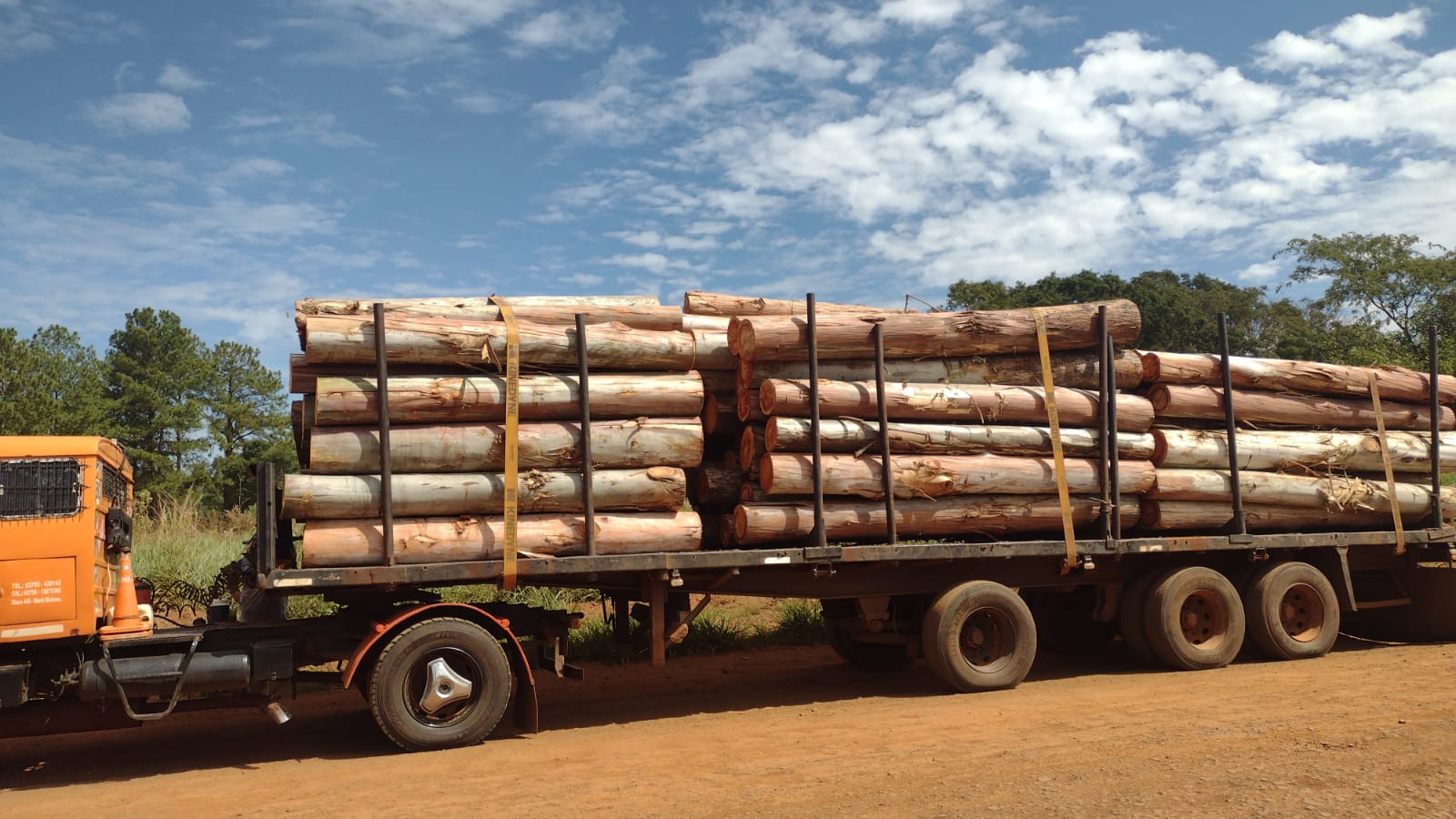 kilos de rollos de eucaliptos aserrados