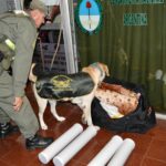 3692-kg-marihuana-Posadas-4