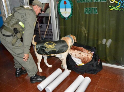 marihuana ocultos en tubos de PVC