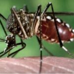 Captura-de-pantalla-2023-03-22-154554-324x235