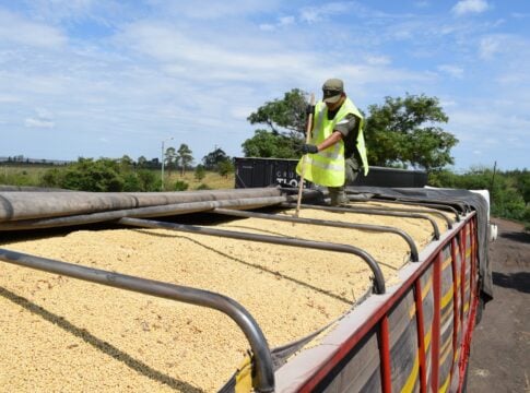 soja ilegal con destino a Misiones