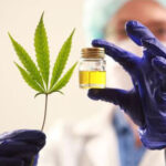 cannabis-medicinal