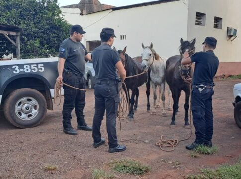 Robó tres caballos en Guaraní