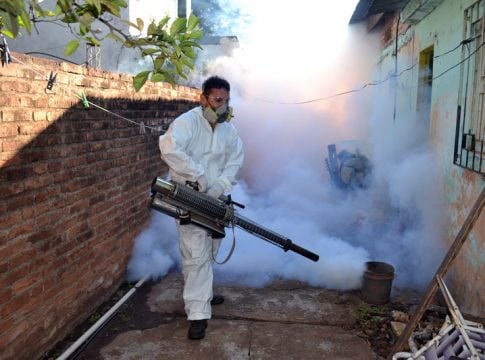 Dengue en Misiones